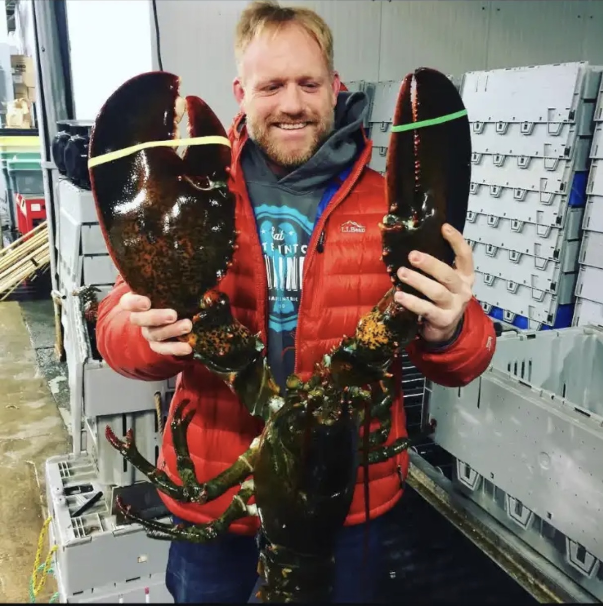 John Leavitt, Owner & CEO of Shucks, holding a massive freshly caught Maine lobster